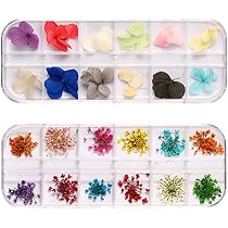 ドライフラワーネイルアートシリーズ2-新作油絵-04（シングルボックス） 61s+W0iXYGL._AC_UL210_SR210,